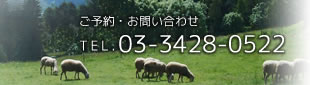 ご予約・お問い合わせTEL.03-3428-0522