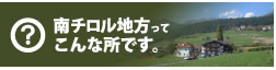 南チロル地方ってこんな所です。