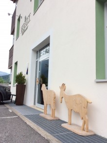 ノヴァチェッラ(Novacella)とハンシのいるヴァルナ(Varna)はすぐ近く。歩いて到着~羊と山羊がいる!