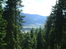 ブルニコ(Brunico)の風景