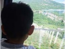 息子よ、ブドウ畑を見て何を思う?