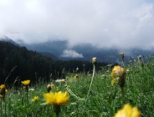 Aldinoは小さな村なので、周辺の町を散策中の一枚。眼下に雲。